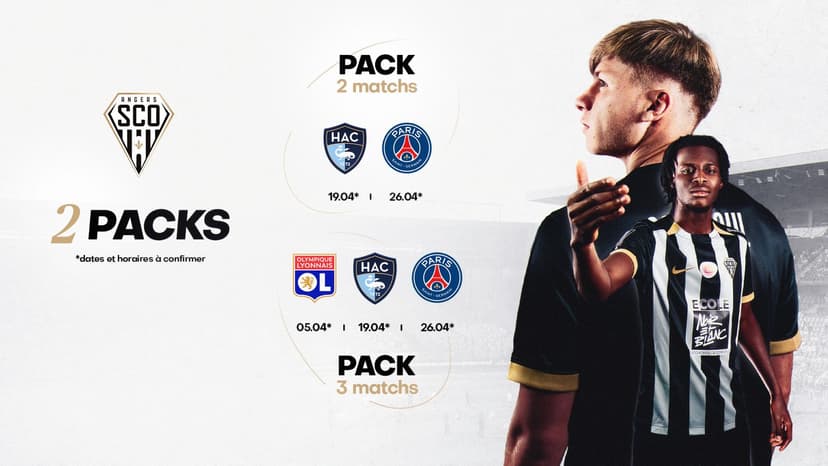 Pack 2 & 3 Matchs : OL x HAC x PSG